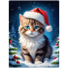 Paysage d’hiver Cat 3.11