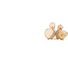 Seidenhuhn Silkie Chicken
