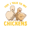 Seidenhuhn Silkie Chicken
