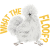 Seidenhuhn Silkie Chicken