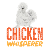 Seidenhuhn Silkie Chicken