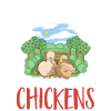 Seidenhuhn Silkie Chicken