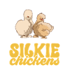 Seidenhuhn Silkie Chicken