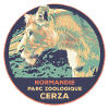 CERZA Lioness Patch: Majestic Nature