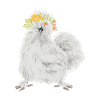 Seidenhuhn Poulet soyeux