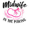 Nurse Midwife Birth Worker Student