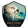 Alaskan Bald Eagle Portrait