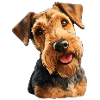 Welsh Terrier