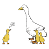 Gänse Nöööö
