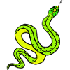 Schlange