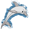 Dolphin