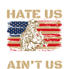 USA Patriotic American Dream Flag