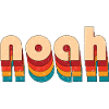 Retro Noah Name