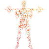 Cardio, Entraînement d’endurance, Musculation, Haltérophilie