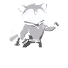 Fitness Raccoon