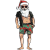 Santa Holiday Santa Claus