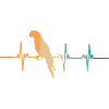 Parrot heartbeat