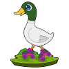 Duck Roller Skating Roller Skates