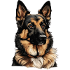 sheepdog