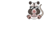 Cooler opossum trend animal sunglasses