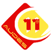 Audes