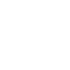 Elegant bonsai tree
