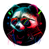 Cyber raccoon