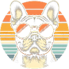 Bouledogue français