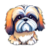 Shih Tzu Dog Drawing