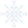 Ice Crystal / Snowflake