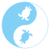 schildkröte, yin yang, turtle