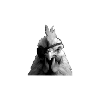 Chicken BBQ Wanted Grill