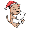 Chat