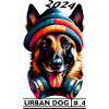 berger malinois urbain