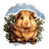 Cochon d’Inde d’hiver