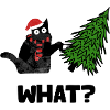 Merry Christmas Cat