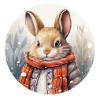 Snow Bunny