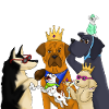 CHIENS VIP