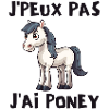 poney, cheval, poney club