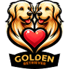 Amour Golden Retriever