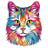 Chat