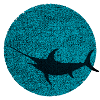 Swordfish