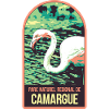 Flamingo Pink Camargue: Enchanted Nature