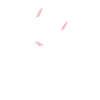 Humour mignon petit lama