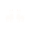 Humour mignon petit lama