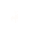 Humour mignon petit lama