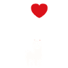 Humour mignon petit lama