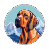 Bavarian Mountain Hound Dog Breed Cartoon Kawaii W