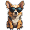 Cool dog with sunglasses