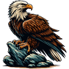 EAGLE, BIRD OF PREY, HAWK, HUNTER, FLIGHT, MAJESTY, FEATHER